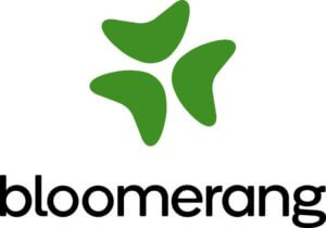 Bloomerang_Logo_Vertical_RGB_Color-1652974868